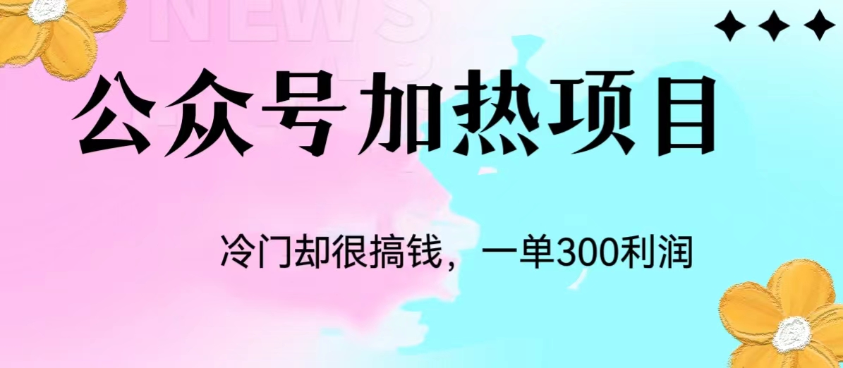 冷门公众号加热项目，每天1-2小时，一单100-300+网赚项目-副业赚钱-互联网创业-资源整合宝宝网赚